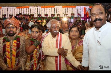 Celebs at Bandaru Dattatreya Daughter Marriage